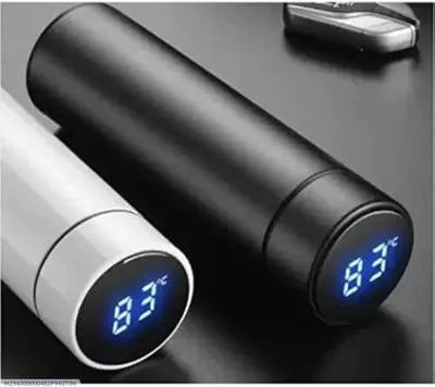 Temperature Water Bottle